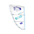 Evo Concept Blue - C12:undyed - 06.0